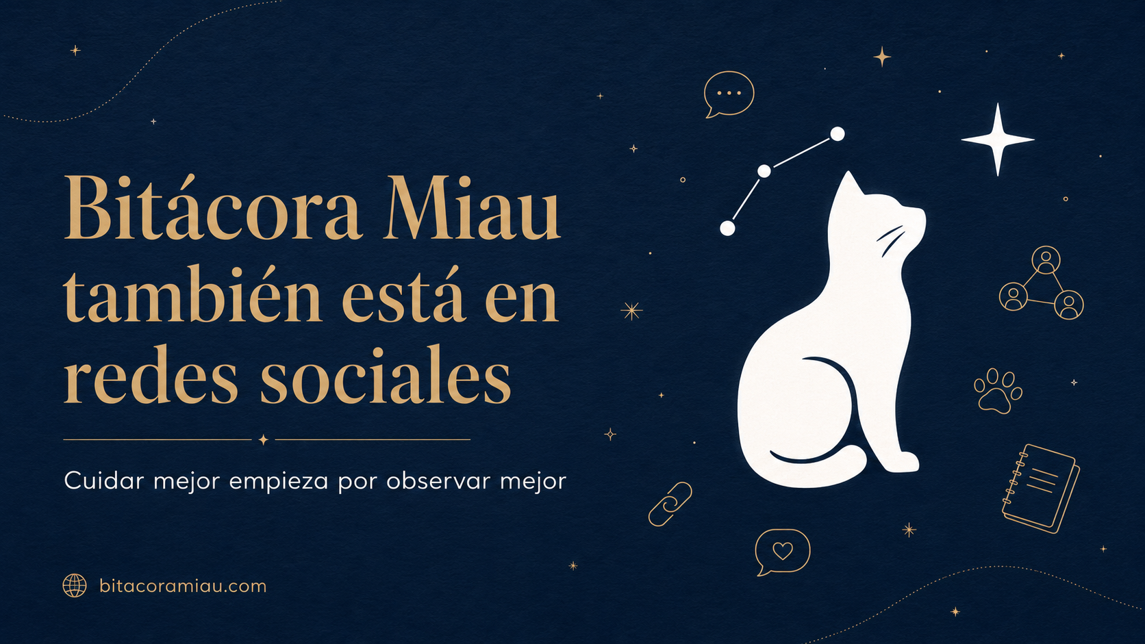 Bitácora Miau vuelve: por qué seguimos contando estas historias